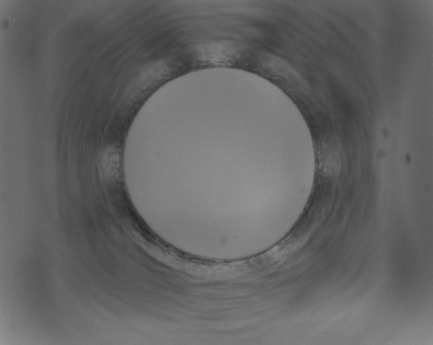 X0000072940036200608181352