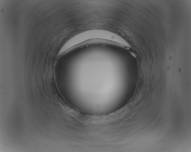 X0000072940037200608181352