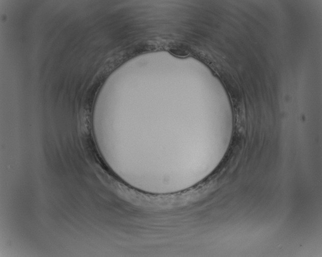 X0000072940038200608181352