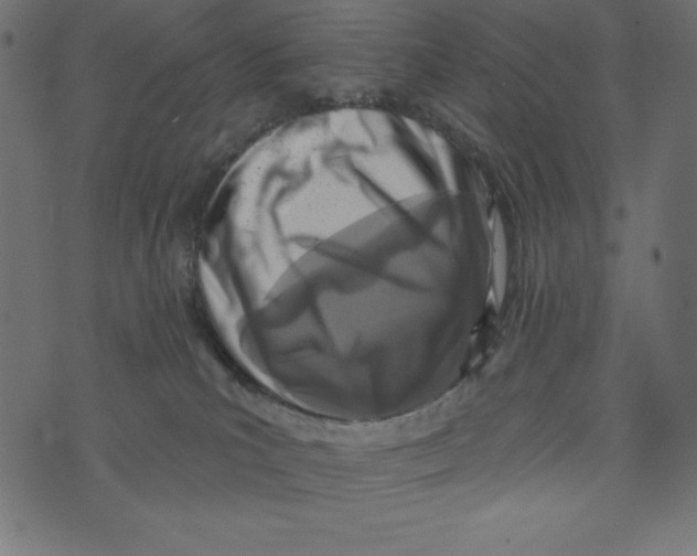 X0000072940039200608181352