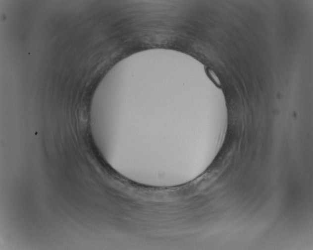 X0000072940040200608181352