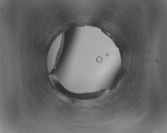 X0000072940041200608181352