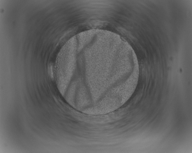 X0000072940042200608181352