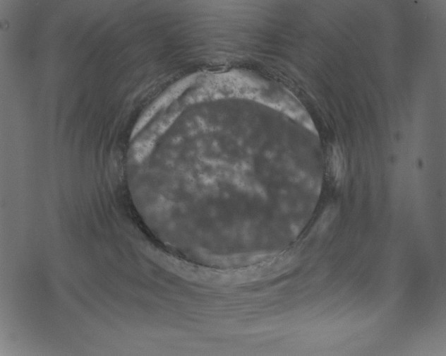 X0000072940043200608181352