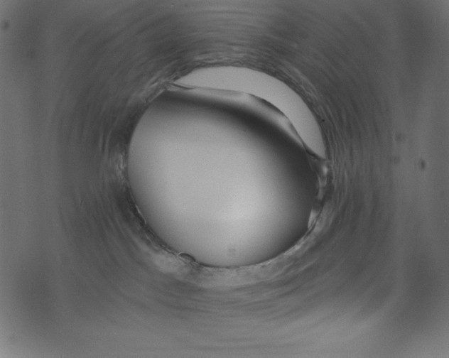 X0000072940045200608181352