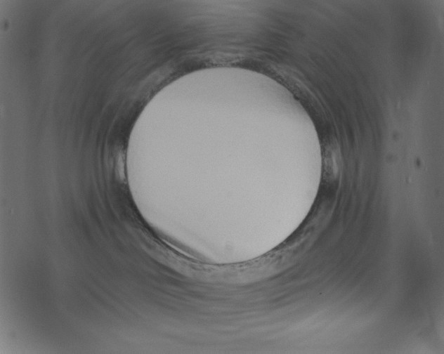 X0000072940046200608181352