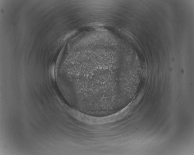 X0000072940047200608181352