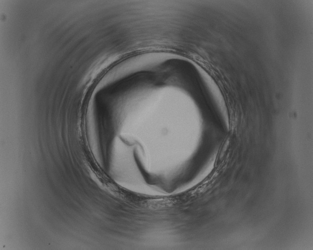 X0000072940050200608181351