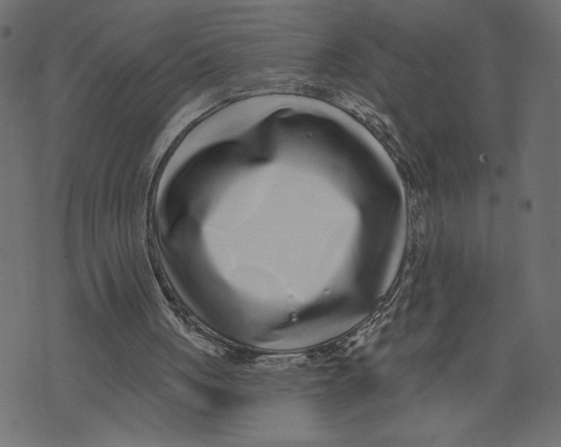 X0000072940051200608181351