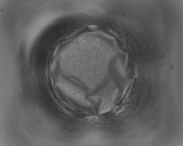 X0000072940052200608181351