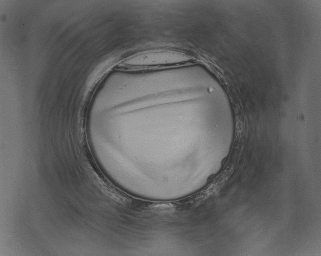 X0000072940053200608181351