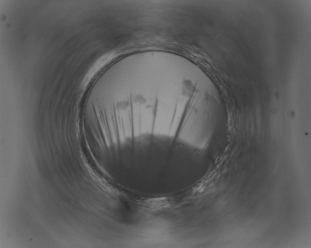 X0000072940054200608181351