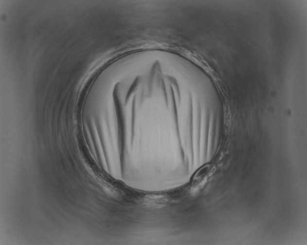 X0000072940055200608181351