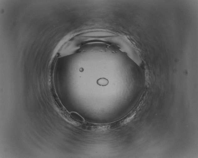 X0000072940056200608181351