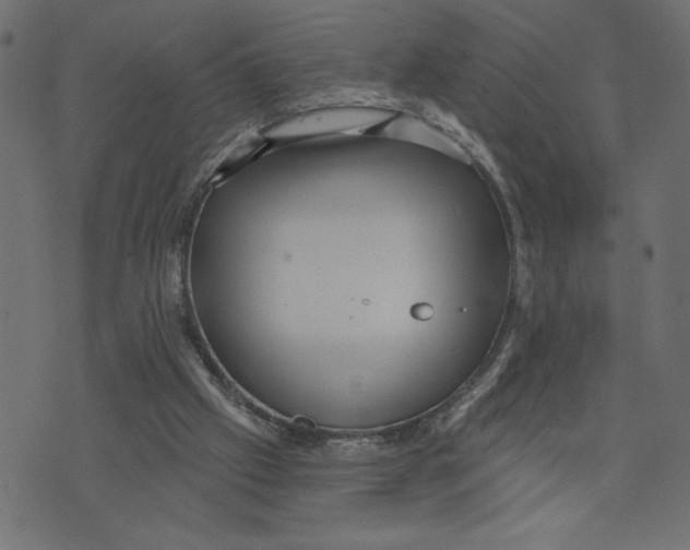 X0000072940057200608181351