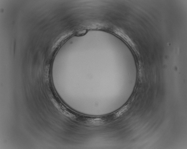 X0000072940058200608181351