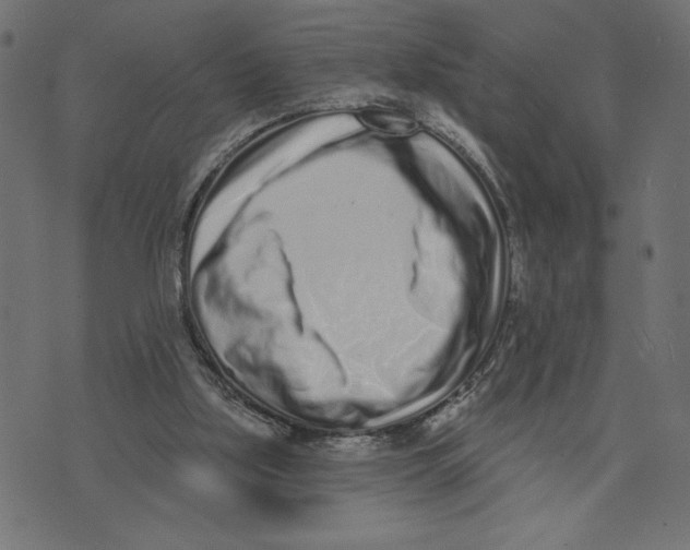 X0000072940059200608181351