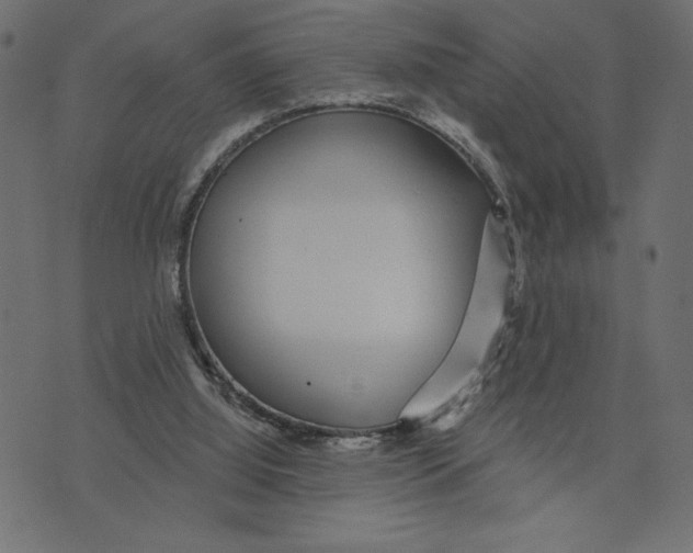 X0000072940060200608181351