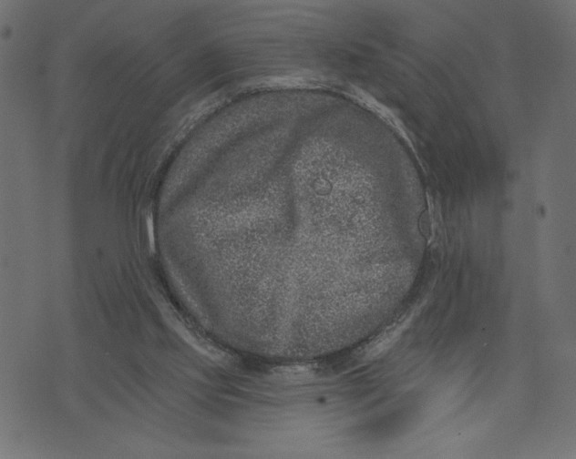 X0000072940061200608181351