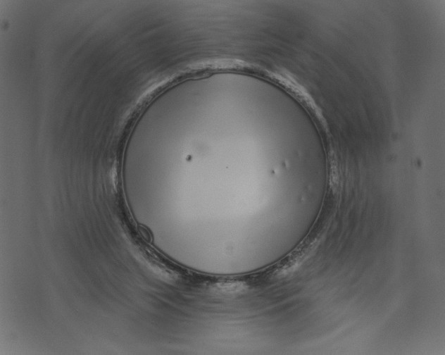 X0000072940063200608181351