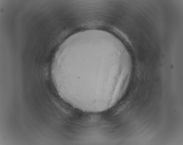 X0000072940065200608181351