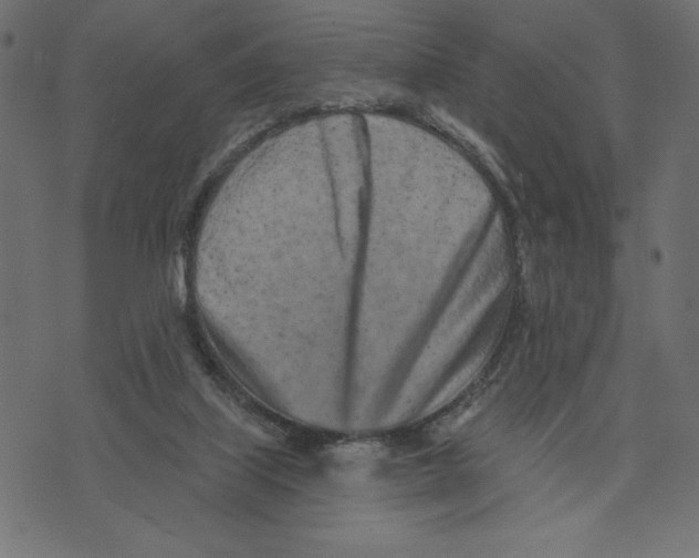 X0000072940067200608181351