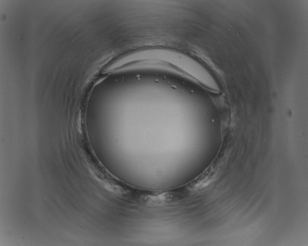 X0000072940068200608181351