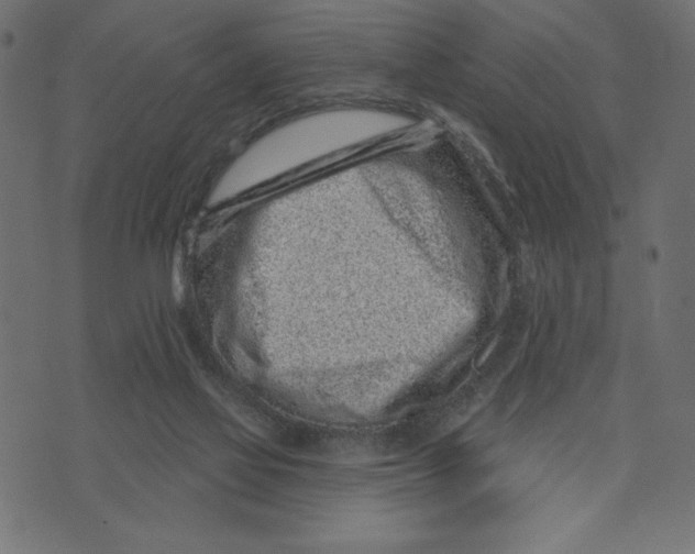 X0000072940069200608181351