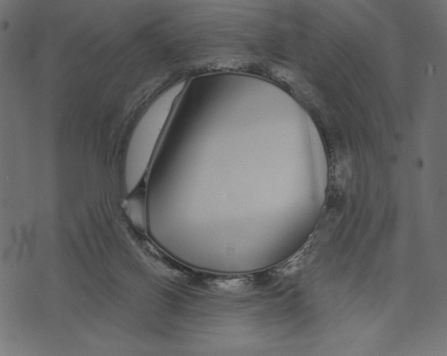 X0000072940070200608181351