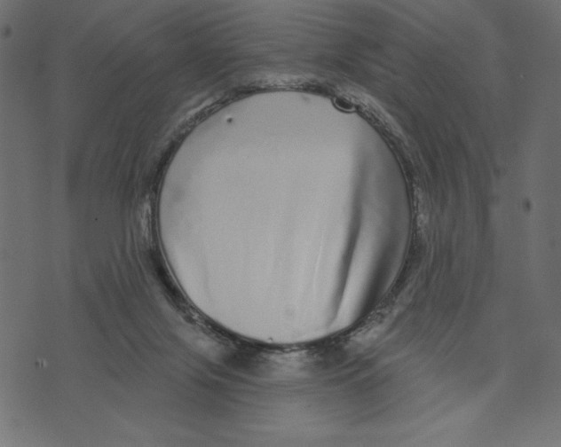 X0000072940071200608181351