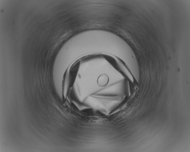 X0000072940072200608181351