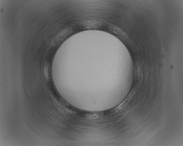 X0000072940074200608181351