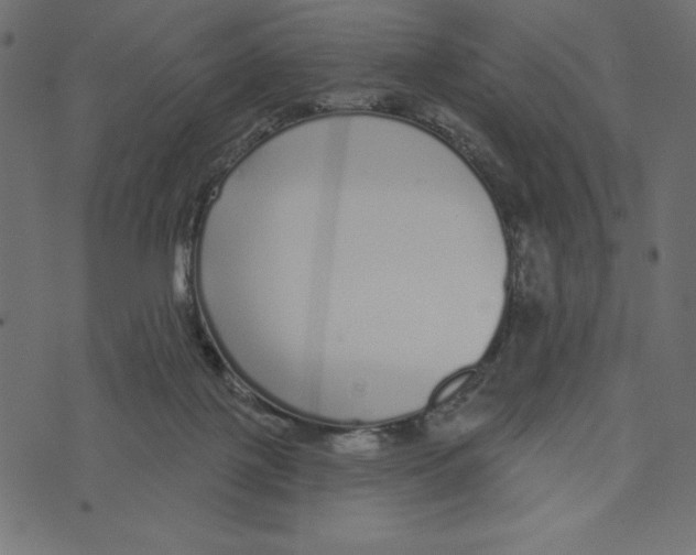 X0000072940075200608181351