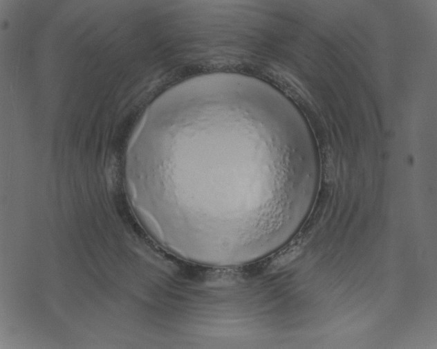 X0000072940077200608181351