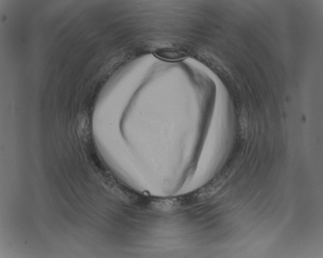 X0000072940079200608181351