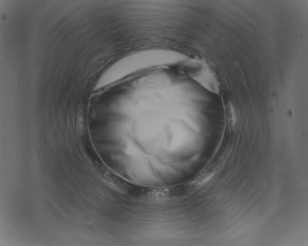 X0000072940080200608181351