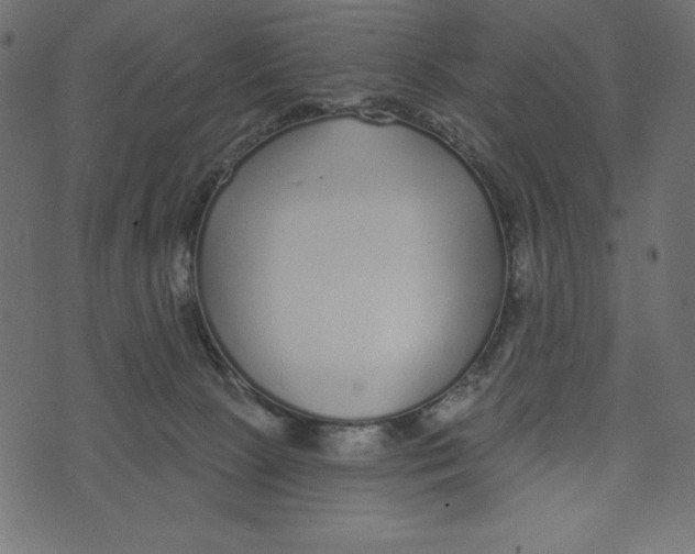 X0000072940081200608181351