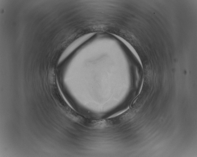 X0000072940083200608181352