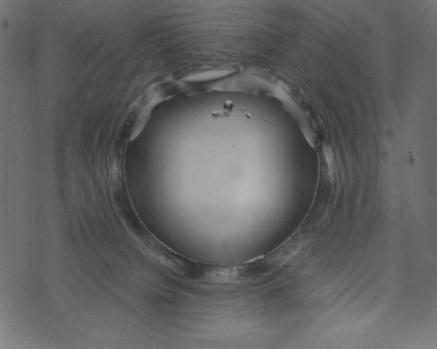 X0000072940084200608181352