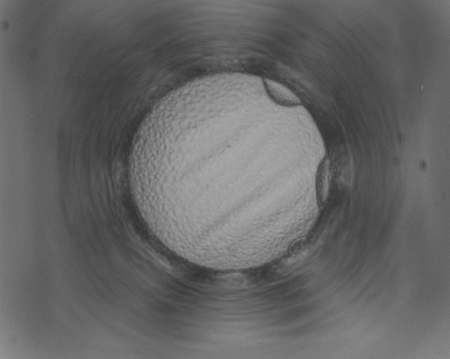 X0000072940087200608181352