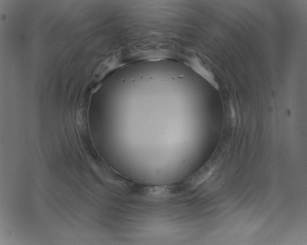 X0000072940088200608181352