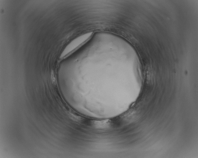 X0000072940089200608181352