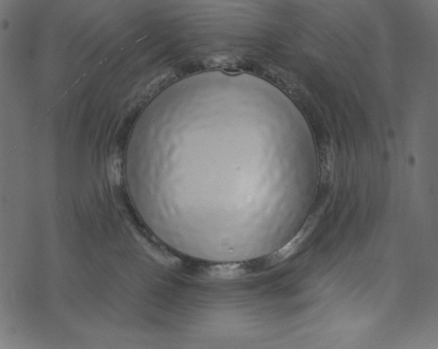 X0000072940090200608181352