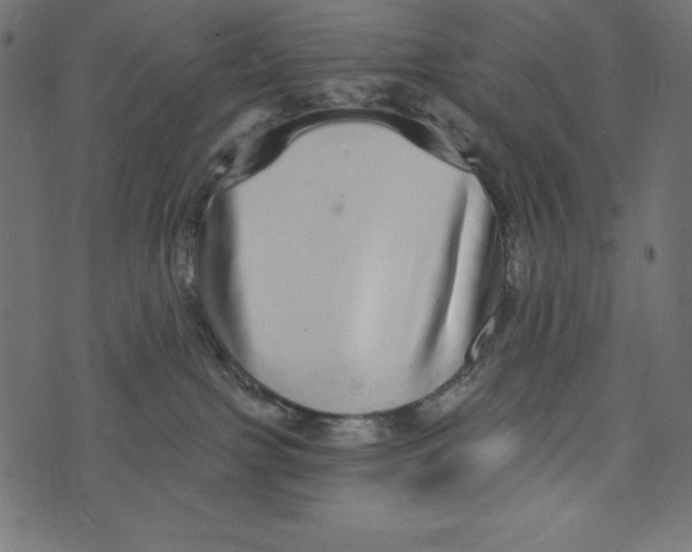 X0000072940091200608181352