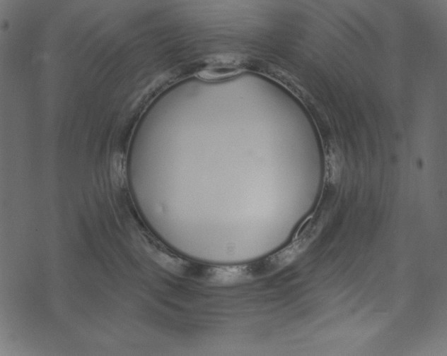 X0000072940093200608181352