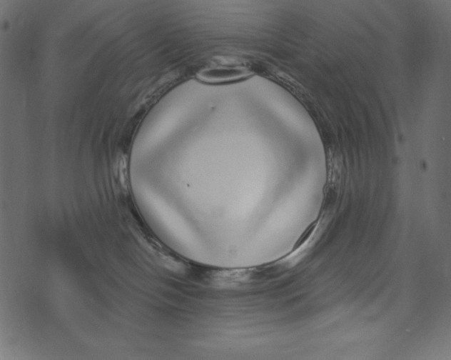 X0000072940094200608181352