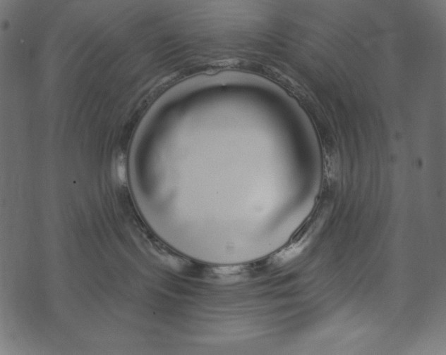 X0000072940095200608181352