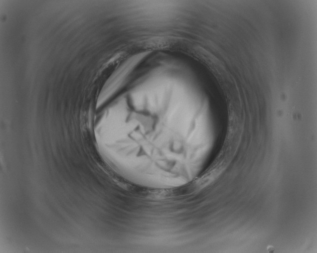 X0000072940096200608181352