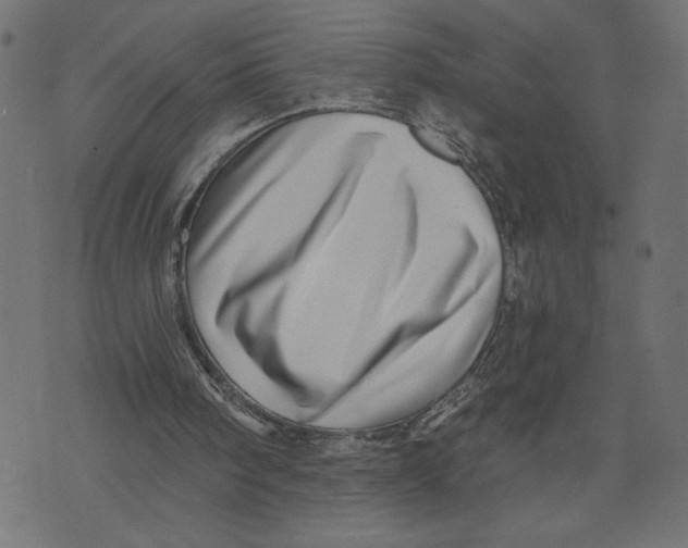 X0000072940098200608181351