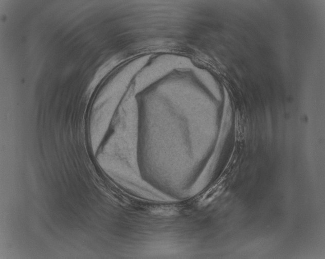 X0000072940099200608181351